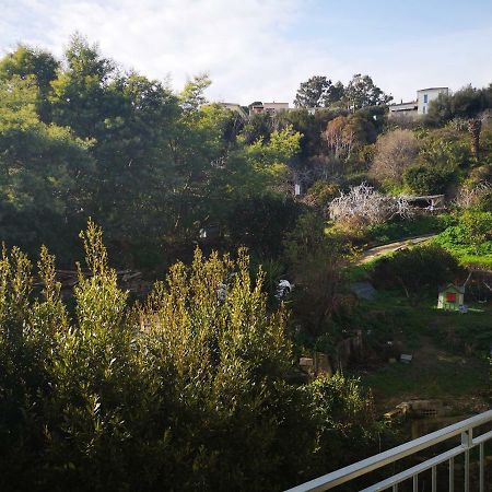 Appartement Rue Colonella Proche Citadelle Bastia  Ngoại thất bức ảnh